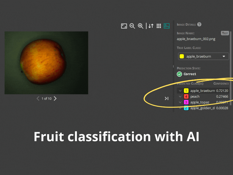 Fruit classification with AI