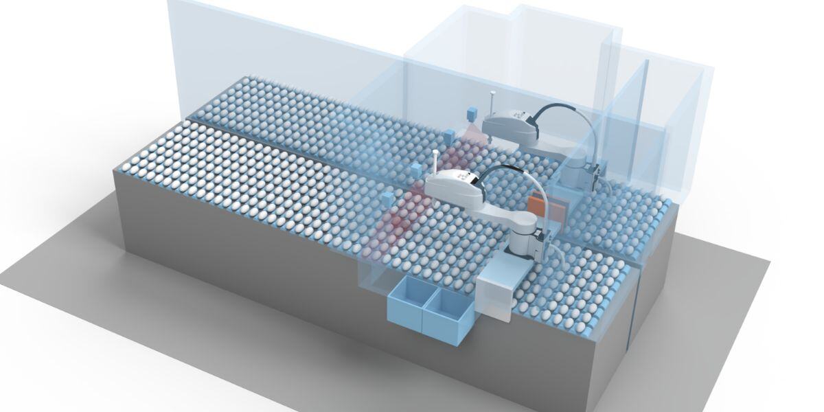 abb scara robot trieur - oeuf pour production